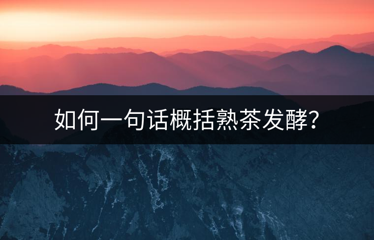 如何一句話概括熟茶發(fā)酵？