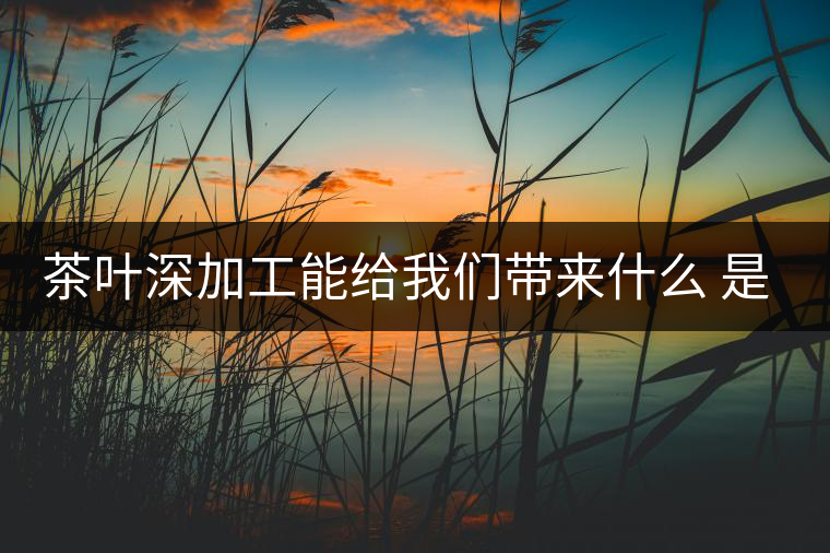 茶葉深加工能給我們帶來(lái)什么 是利還是弊呢？