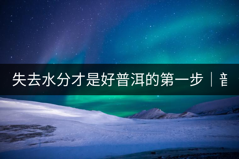 失去水分才是好普洱的第一步｜普洱三分鐘30