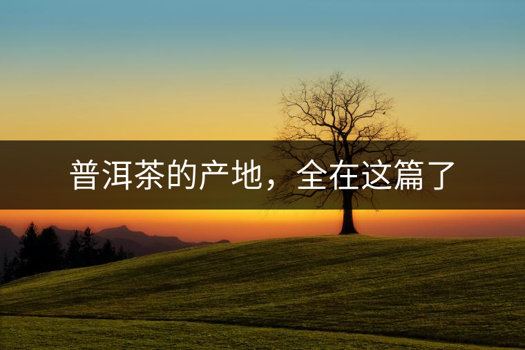 普洱茶的產(chǎn)地，全在這篇了