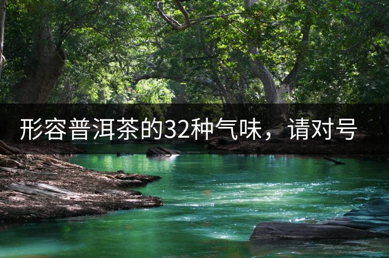 形容普洱茶的32種氣味，請對號入座