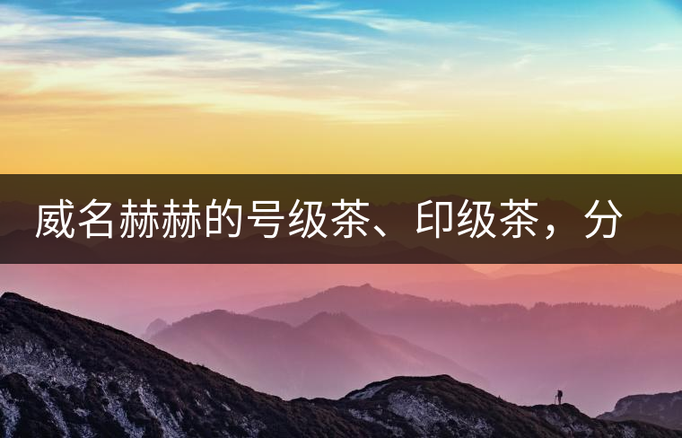 威名赫赫的號(hào)級(jí)茶、印級(jí)茶，分別是些什么普洱茶？