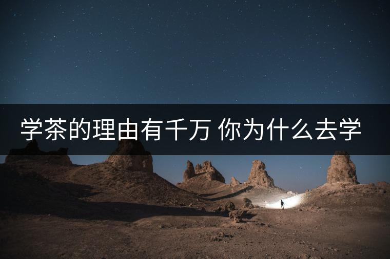 學茶的理由有千萬 你為什么去學茶？