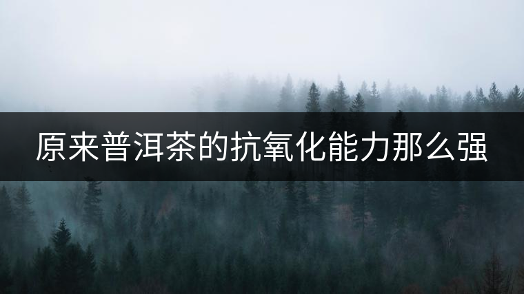 原來普洱茶的抗氧化能力那么強