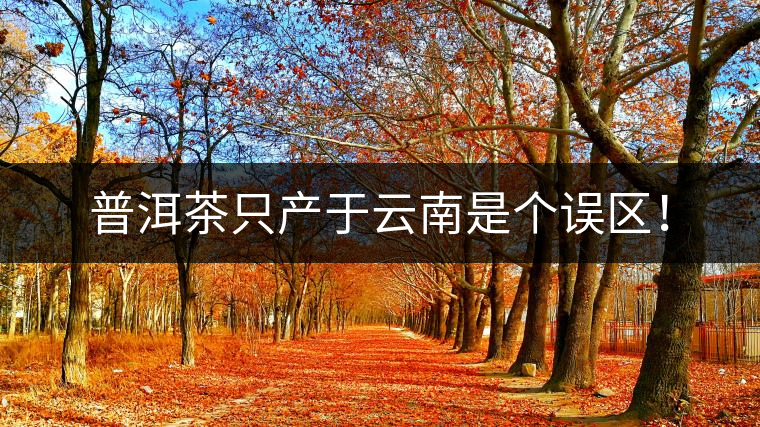 普洱茶只產(chǎn)于云南是個誤區(qū)！