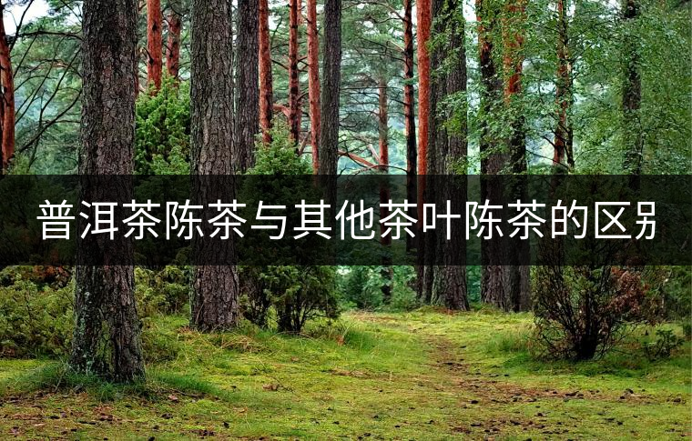 普洱茶陳茶與其他茶葉陳茶的區(qū)別！