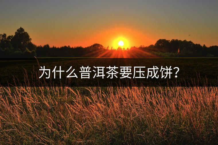 為什么普洱茶要壓成餅？