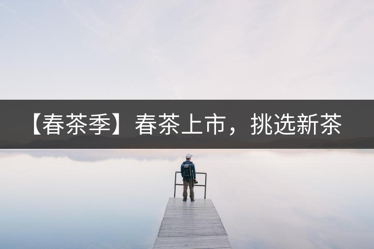 【春茶季】春茶上市，挑選新茶有講究