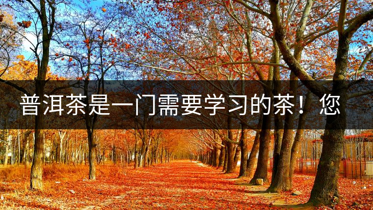 普洱茶是一門需要學(xué)習(xí)的茶！您學(xué)到了多少？看看專家怎么說