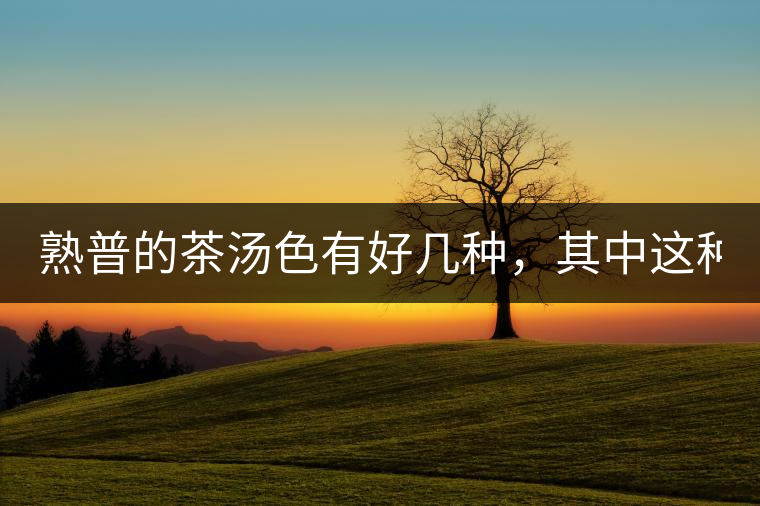 熟普的茶湯色有好幾種，其中這種不建議喝！