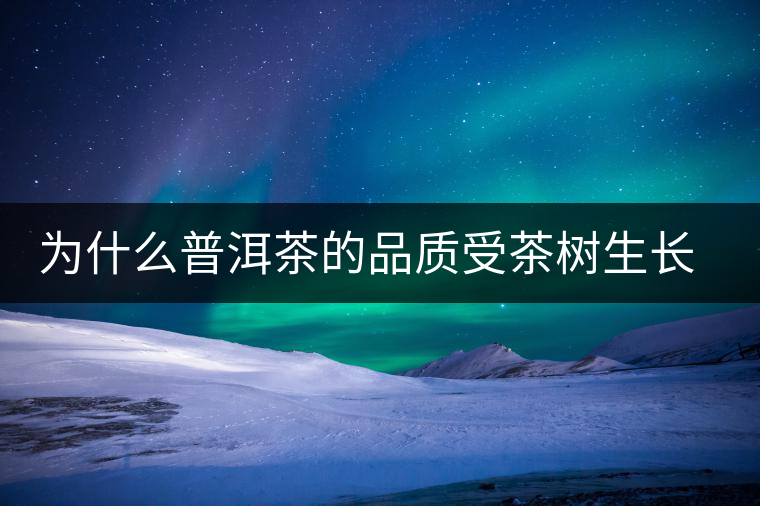 為什么普洱茶的品質受茶樹生長環(huán)境的影響？