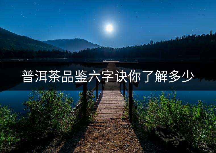 普洱茶品鑒六字訣你了解多少 普洱茶品鑒六字訣你了解多少