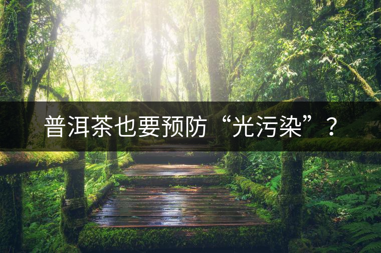 普洱茶也要預防“光污染”？