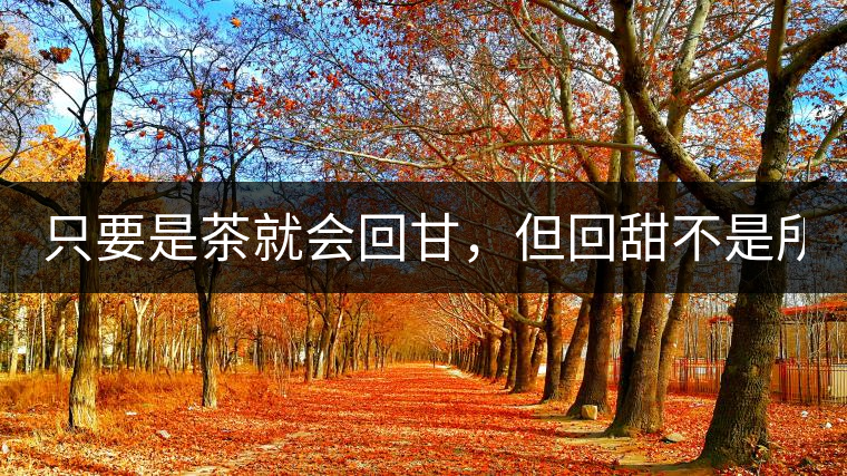 只要是茶就會回甘，但回甜不是所有茶都有！