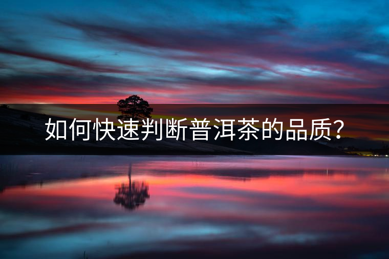 如何快速判斷普洱茶的品質(zhì)？