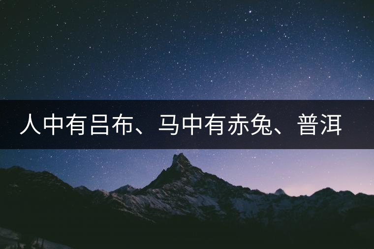 人中有呂布、馬中有赤兔、普洱中有茶化石：碎銀子！