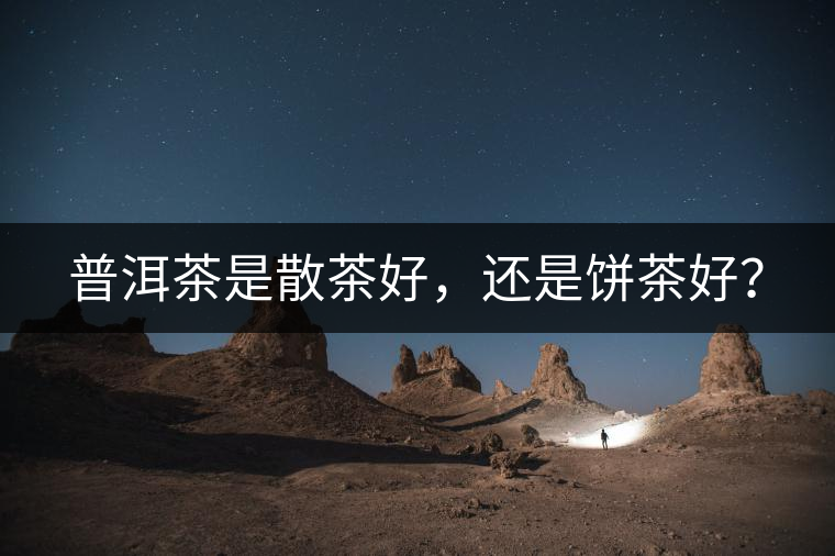 普洱茶是散茶好，還是餅茶好？