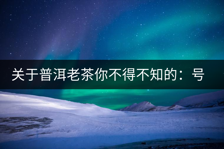 關(guān)于普洱老茶你不得不知的：號(hào)級(jí)茶、印級(jí)茶、七子餅茶