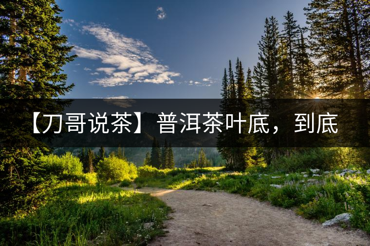 【刀哥說茶】普洱茶葉底，到底藏有多少玄機？