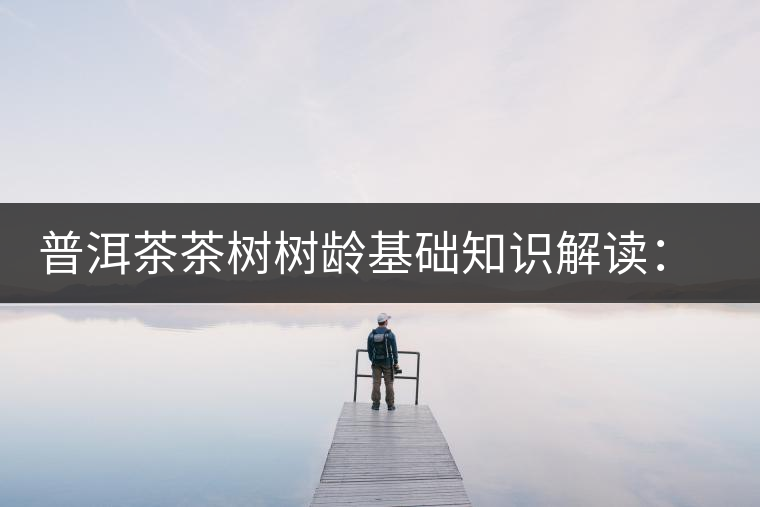 普洱茶茶樹樹齡基礎(chǔ)知識解讀：多大樹齡的茶才算古樹茶？