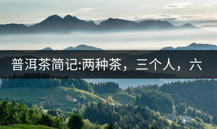 普洱茶簡記:兩種茶，三個人，六座山，七塊餅