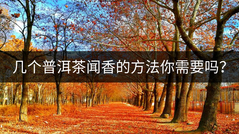 幾個普洱茶聞香的方法你需要嗎？