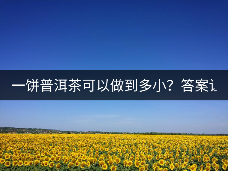 一餅普洱茶可以做到多?。看鸢缸屓艘庀氩坏?..