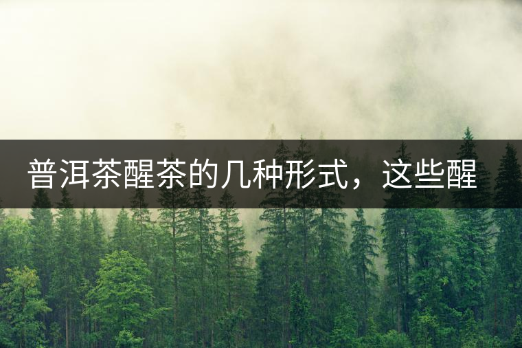 普洱茶醒茶的幾種形式，這些醒茶方法你都會(huì)了嗎？