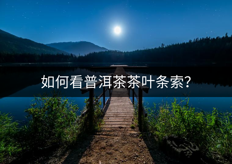 如何看普洱茶茶葉條索？