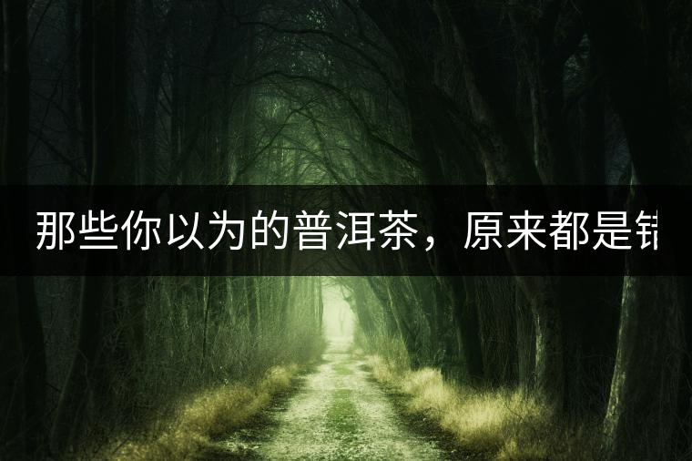 那些你以為的普洱茶，原來都是錯(cuò)的！