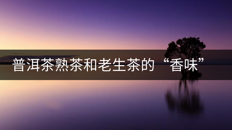 普洱茶熟茶和老生茶的“香味”解析