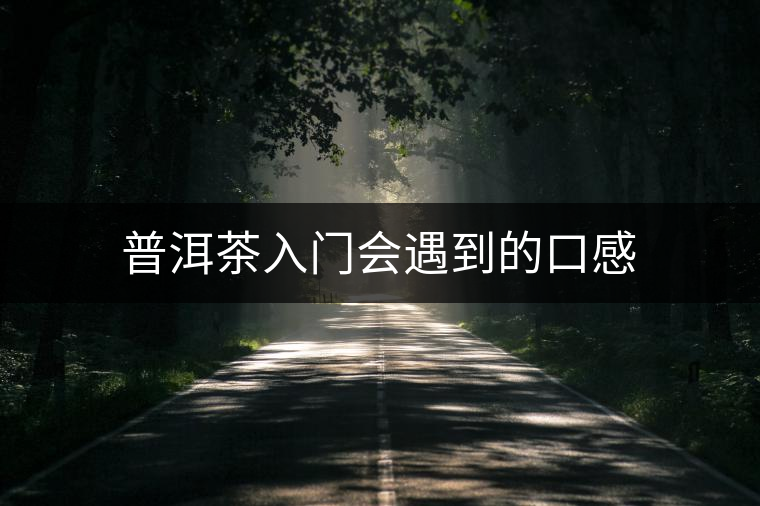 普洱茶入門會(huì)遇到的口感