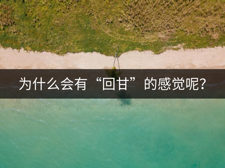 為什么會(huì)有“回甘”的感覺(jué)呢？
