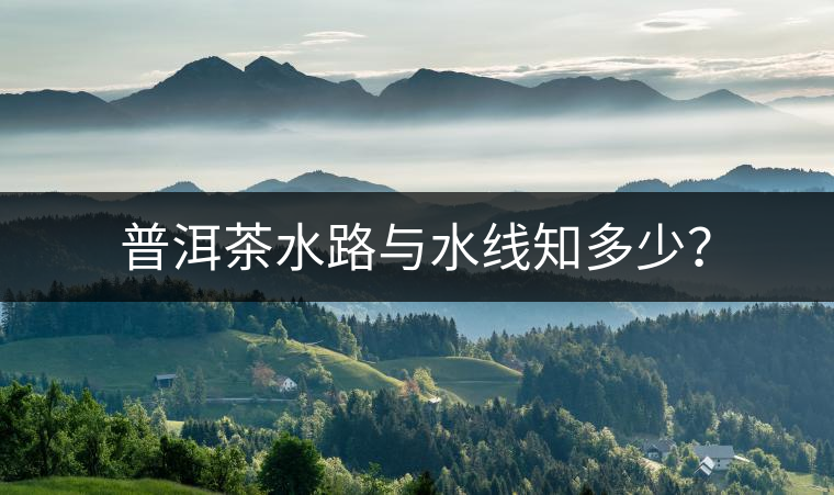 普洱茶水路與水線知多少？