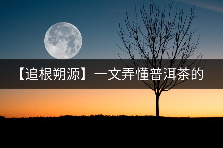 【追根朔源】一文弄懂普洱茶的定義和歸類(lèi)