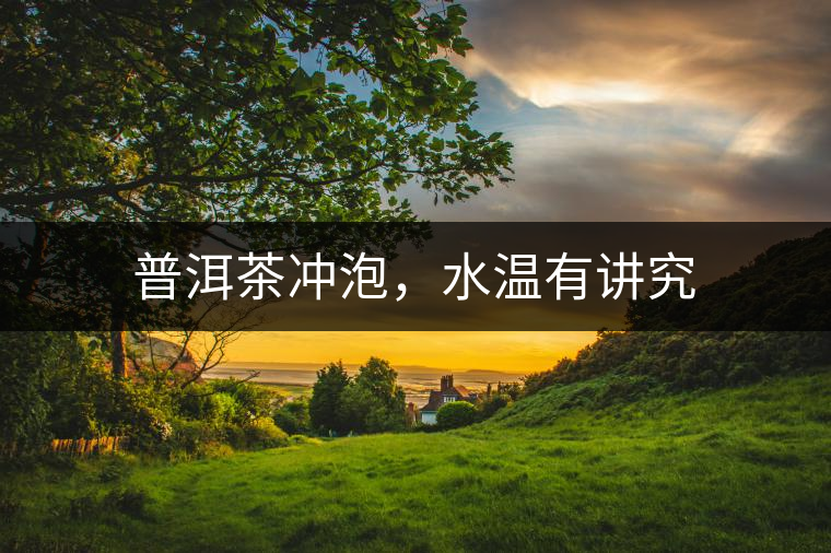 普洱茶沖泡，水溫有講究