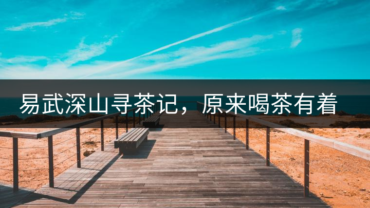 易武深山尋茶記，原來喝茶有著這么多誤區(qū)