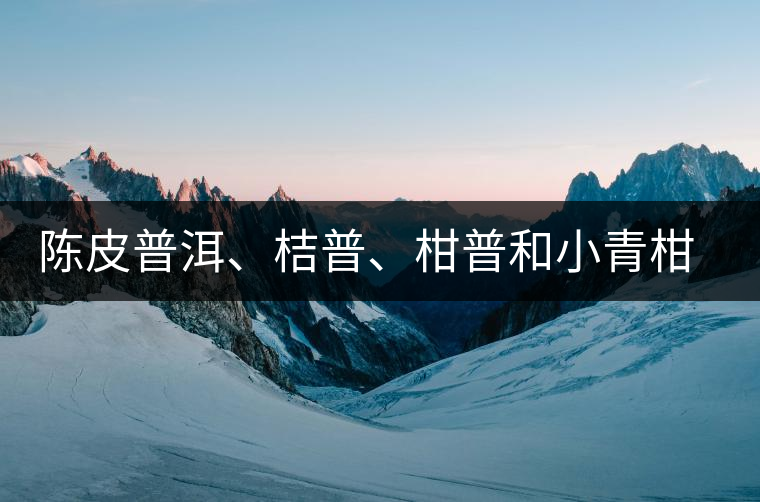 陳皮普洱、桔普、柑普和小青柑茶的分辨技巧