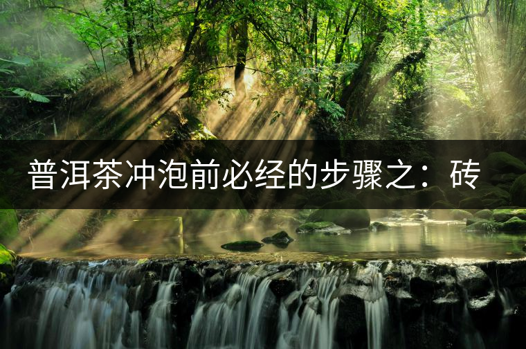 普洱茶沖泡前必經(jīng)的步驟之：磚茶如何撬？