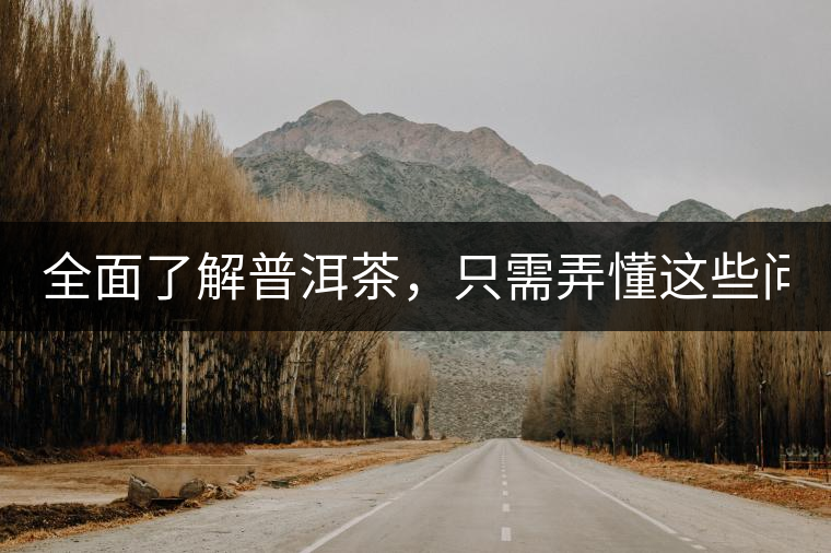 全面了解普洱茶，只需弄懂這些問(wèn)題！