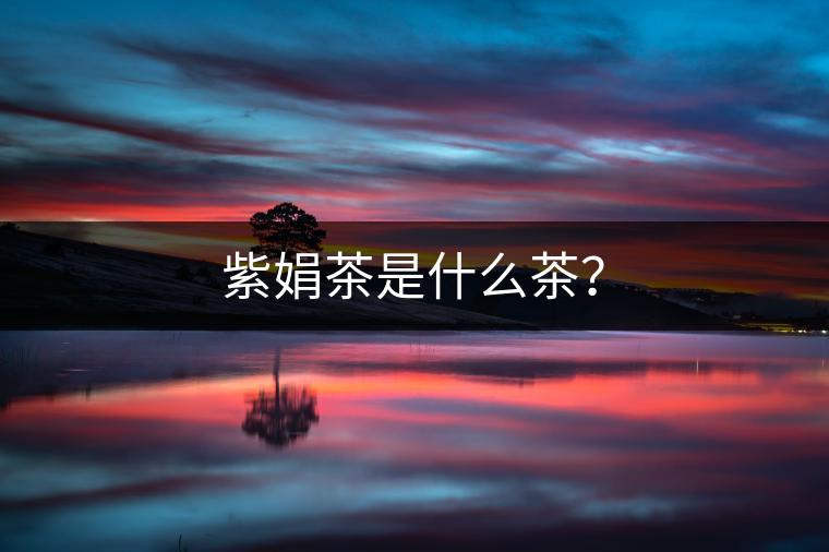 紫娟茶是什么茶？