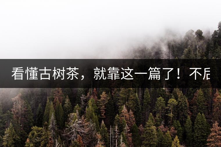 看懂古樹(shù)茶，就靠這一篇了！不后悔!