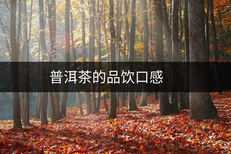 普洱茶的品飲口感 普洱茶的品飲口感