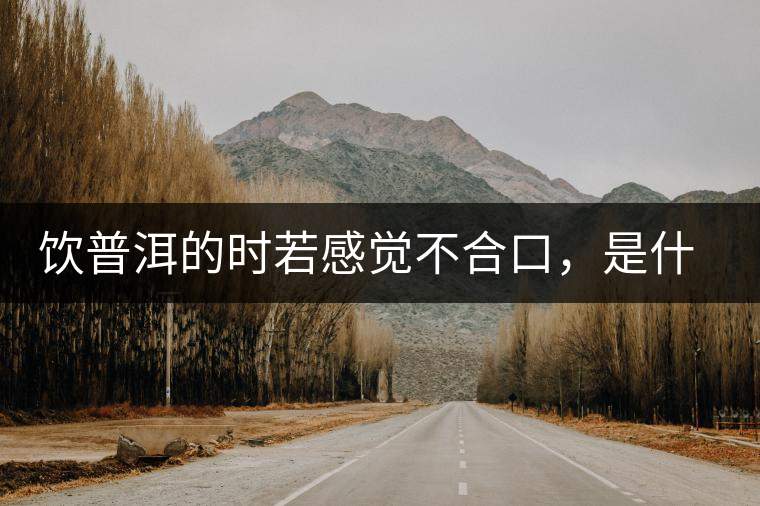 飲普洱的時若感覺不合口，是什么原呢？