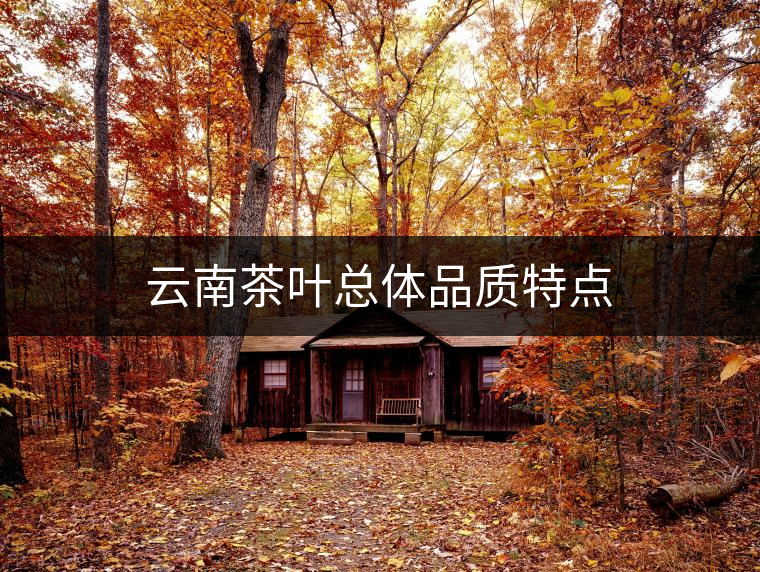 云南茶葉總體品質(zhì)特點(diǎn)