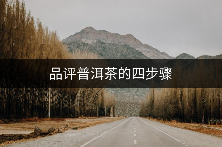 品評普洱茶的四步驟