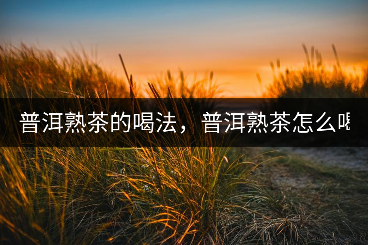 普洱熟茶的喝法，普洱熟茶怎么喝？