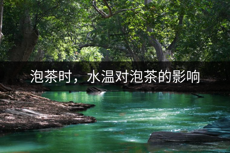 泡茶時，水溫對泡茶的影響