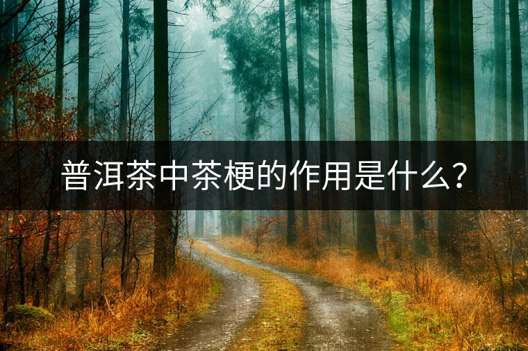 普洱茶中茶梗的作用是什么？