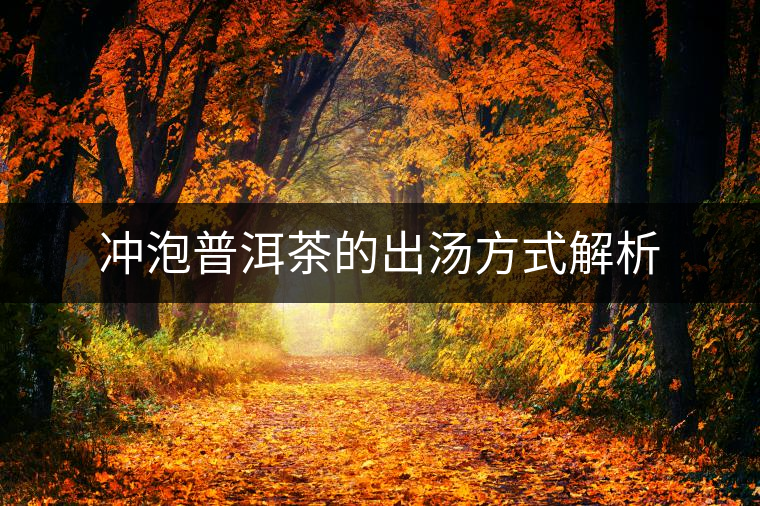 沖泡普洱茶的出湯方式解析